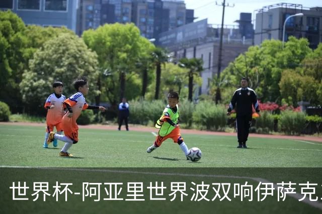 世界杯-阿亚里世界波双响伊萨克1射2传 瑞典5-1突尼斯